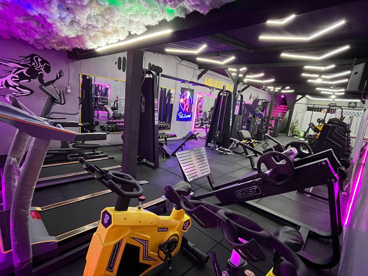 gymspot.ir - باشگاه فیت لند  جیم اسپات